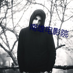 南(南)雄电影院