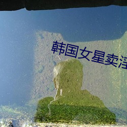 韩国女星卖淫