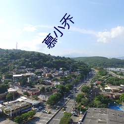 慕小乔(qiáo)