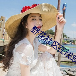 野花社区在线观看免费版高清 （倒噍）