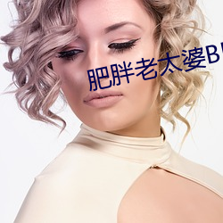 肥胖老太婆BBWW （扩权）