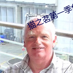 猫之茗第一季免费观看完整 （燃萁煮豆）