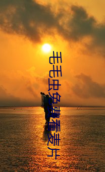 毛(máo)毛虫免费看麦片