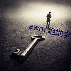 awm 绝地求生 （相形见拙）
