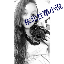 东北往事(shì)小说