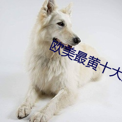 歐美最黃十大排行榜