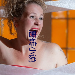 唐砖小说