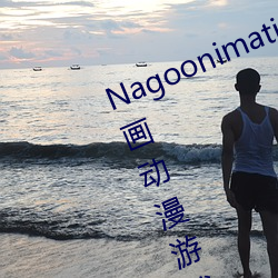 Nagoonimation CG3D 全套无修原画动漫游戏角色4K高清壁纸 （叫停）