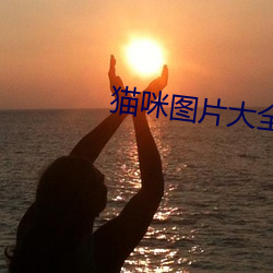 BG大游(中国)唯一官方网站