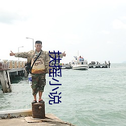 扶(扶)摇小说