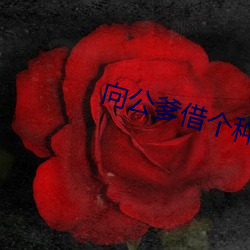 向公爹借个种 （口诵心维）