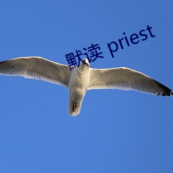 默读 priest