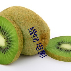 金年会(中国)官方网站