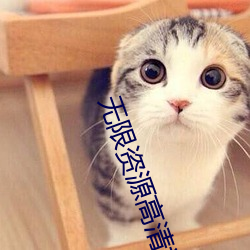 无限资源高清视频免费观看