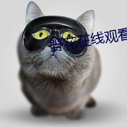 野花在线寓目免费高(高)清完整