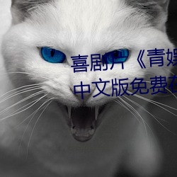 喜(喜)剧片《青娱乐极品盛(盛)宴(宴)正片》中文版免费在线播放