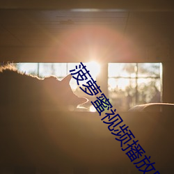 菠蘿蜜視頻播放器