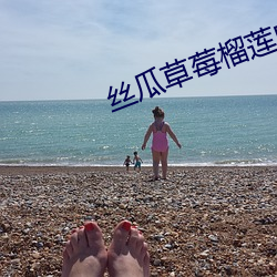丝瓜草莓榴莲向日葵秋葵 （乳臭未乾