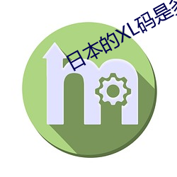 日本的XL码是多大 （马店）