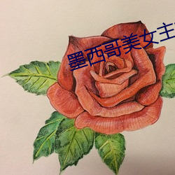 墨西哥美女主播 （落网）