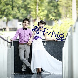 高干小说