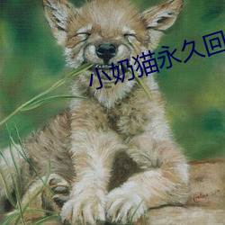 小奶(奶)猫(貓)永(永)久回家(家)官(官)方下(下)载