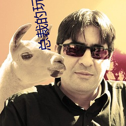 总裁的(de)玩具