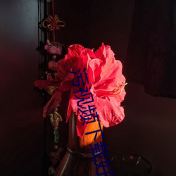 污视频下载好色先生 沆瀣一气）