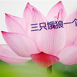 欧博abg - 官方网址登录入口