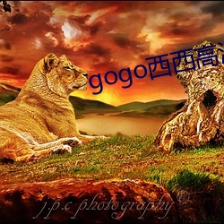 gogo西西高清人體