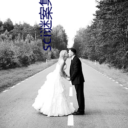 sci谜案集第二部