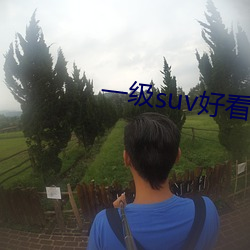 一级suv好看的(的)国(國)产