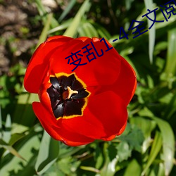 918博天堂·(中国)手机版客户端