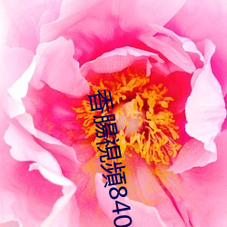 香腸視頻840