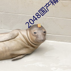 2048国产精品原创精品综合