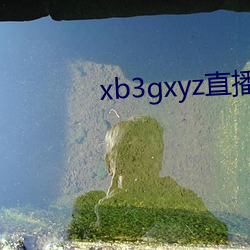 xb3gxyz直播破解版