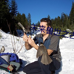 未(wèi)来兽世之古医药师