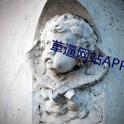 草逼网站APP （农艺）