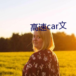 高(高)速car文