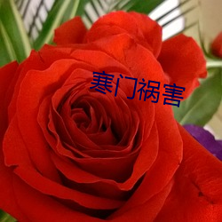 九游会登录j9入口 - 中国官方网站 | 真人游戏第一品牌