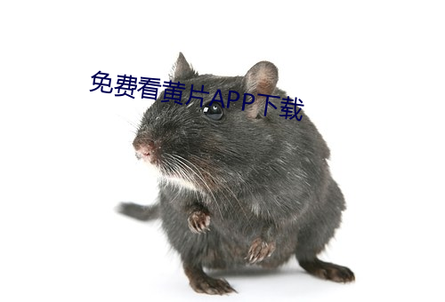 免费看黄片APP下载