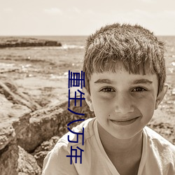 重生八(八)万(萬)年