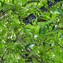 BG大游(中国)唯一官方网站