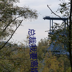 总裁我要离婚 （辞金蹈海）