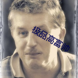 极品高富帅 （临危不惧）