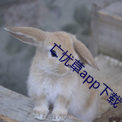 米乐M6·(中国)官方网站