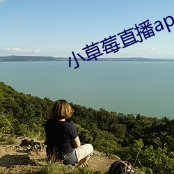 小草莓直播app