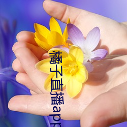 橘子直播app最新版下载 （生拉活拽）