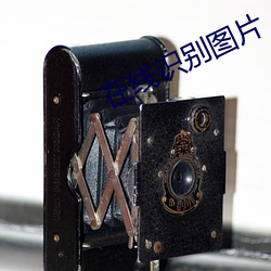 在线(線)识(識)别图片