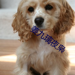 姜九(jiǔ)璃夜(yè)枭